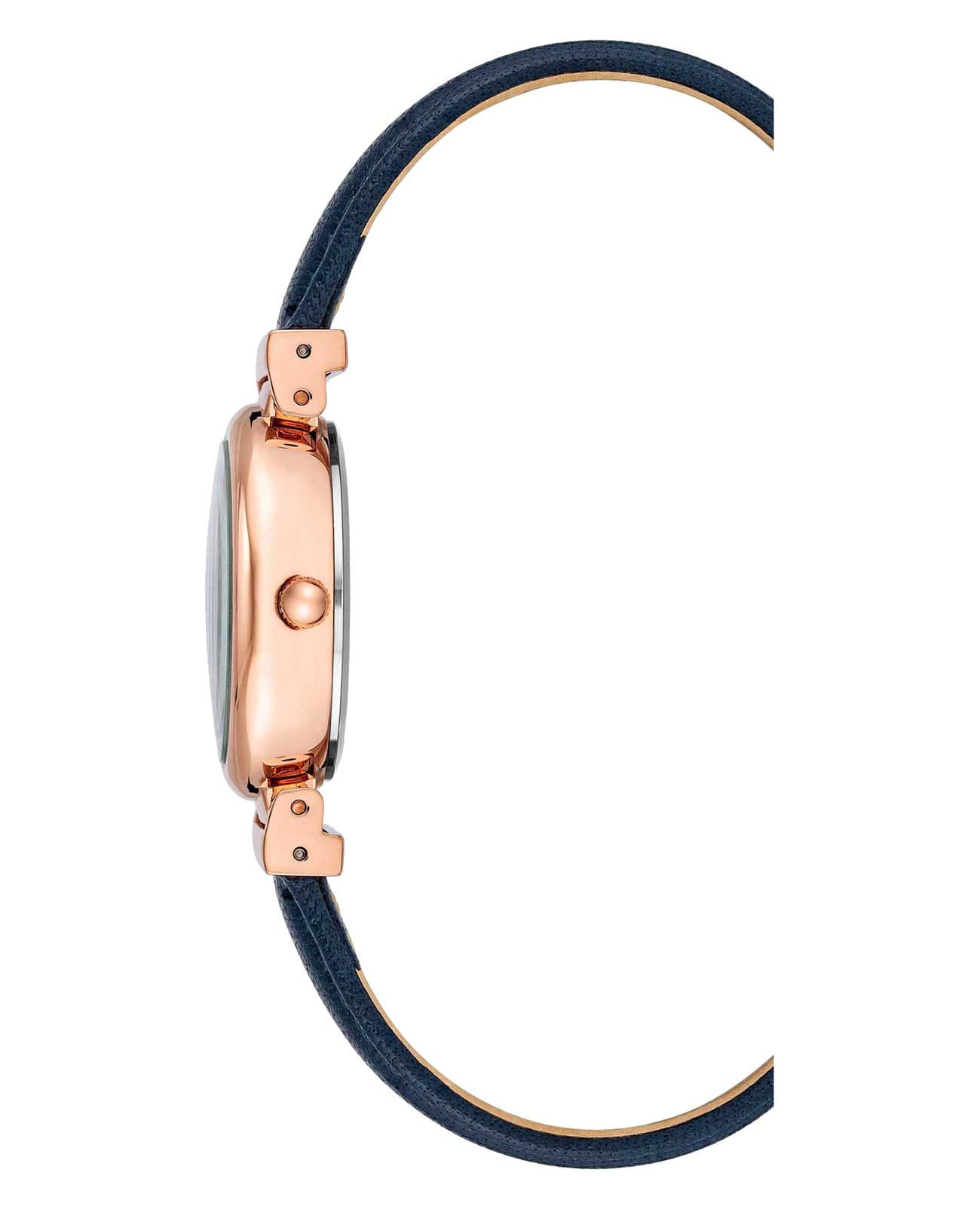 Anne Klein Anne Klein Classic 2246RGNV , наручные женские часы фото под углом