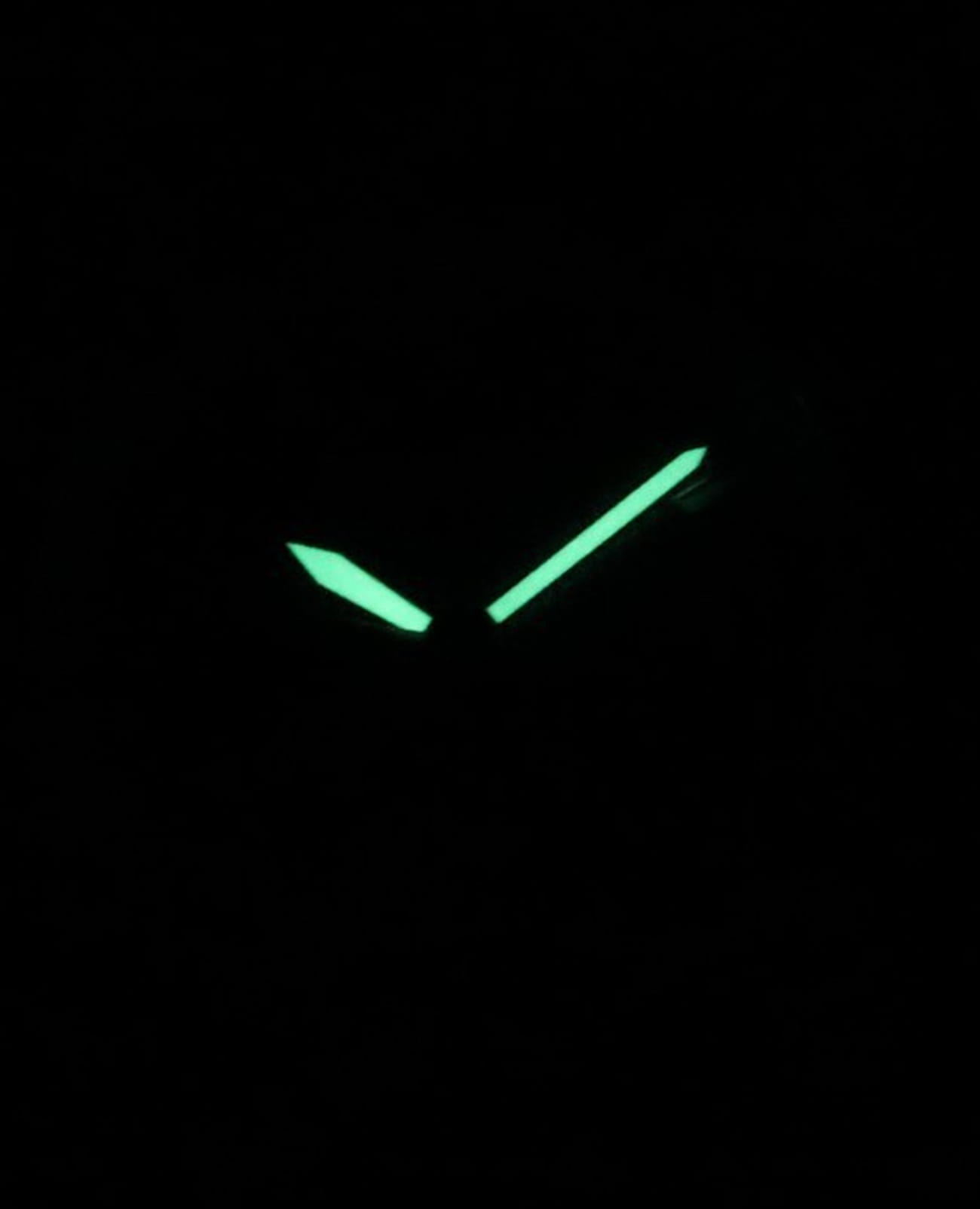 Оригинальные часы Casio Casio Collection MTP-E725L-5A кварцевые калибр механизма  общий вид