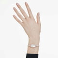 Swarovski 5672992