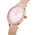 Daniel Wellington DW00100663