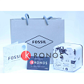 Fossil ES4862