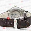 Zeppelin 84605