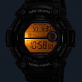 Casio WS-1300H-8AVEF