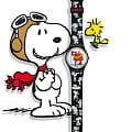 Swatch SO28Z107