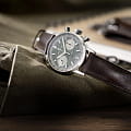 Hamilton H38416560