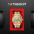 Tissot T1166172202100