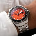 Spinnaker SP-5081-BB